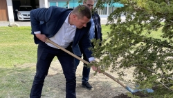 La ville d'Aigle soigne son arborisation